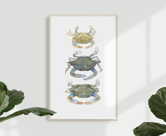 Studio Tuesday Blue Crabs Watercolor Painting Print