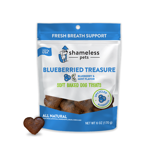 Shameless Pets Blueberried Treasure Soft Baked Dog Treats