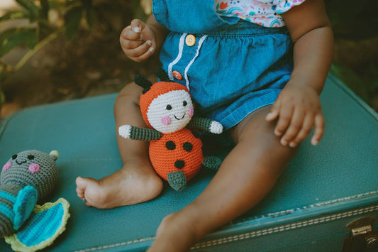 Pebble Bug Rattle - Lady Bird