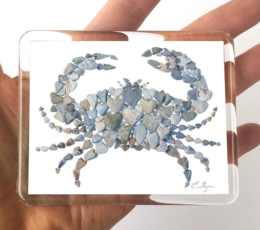 Love Rocks Me® Coastal Magnets crab