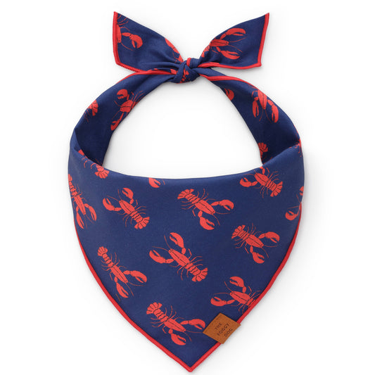 The Foggy Dog Catch of the Day Navy Dog Bandana Large